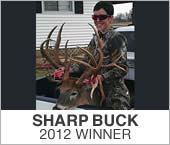 Sharp Buck