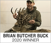 Butcher Buck