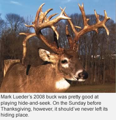 Mark Lueder