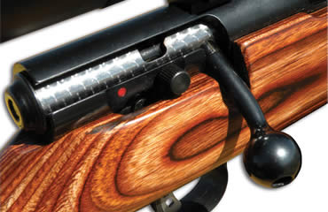 Savage Model 25 Lightweight Varmint Rifle