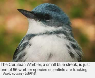 Catching a blue streak before it changes continents