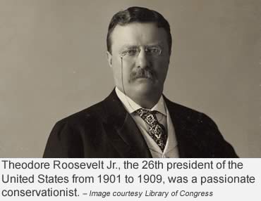 It started with Teddy Roosevelt and his friends