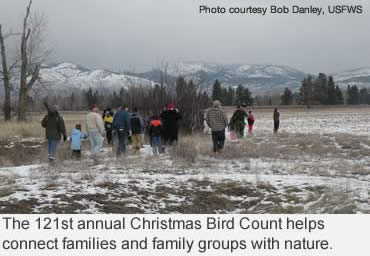 Count birds for science during the 121st Annual Christmas Bird Count