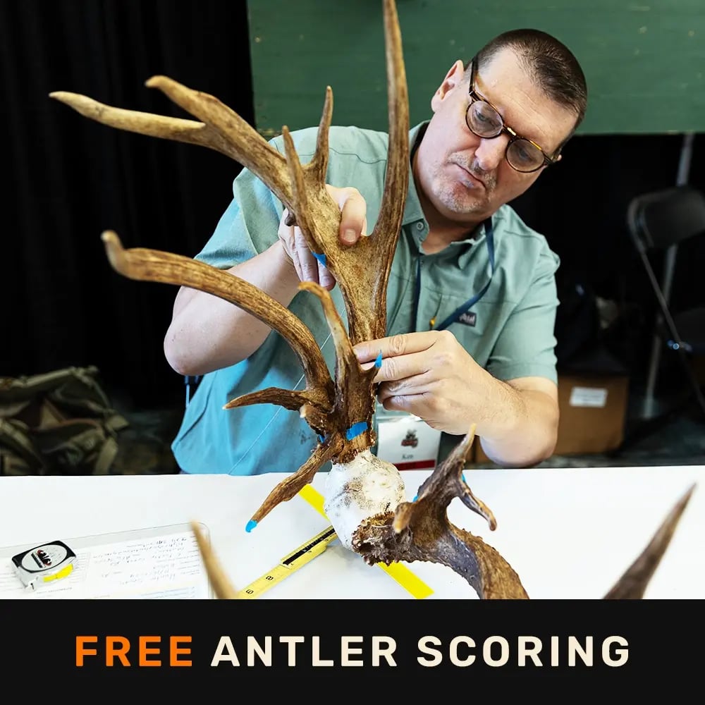Antler Scoring