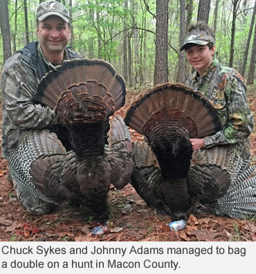 Déjà vu-ing with turkeys