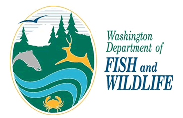https://48498357.fs1.hubspotusercontent-na1.net/hubfs/48498357/Imported_Blog_Media/16WashingtonLogo.gif