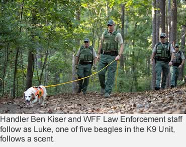 Enforcement K9 Unit is a different breed