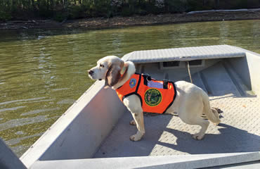 Enforcement K9 Unit is a different breed