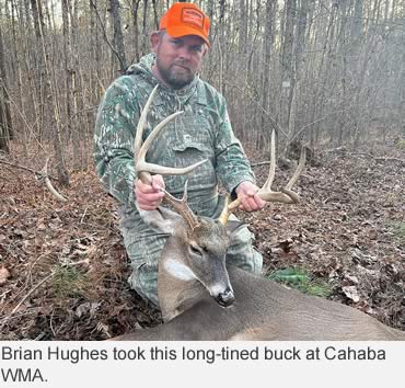 Deer activity in most of Alabama approaching peak