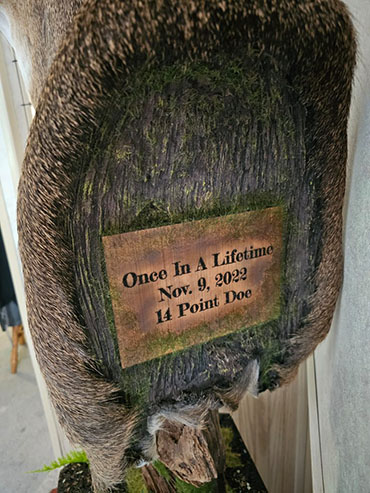 My Pronouns Are White and Tail