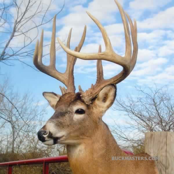 Featured photo