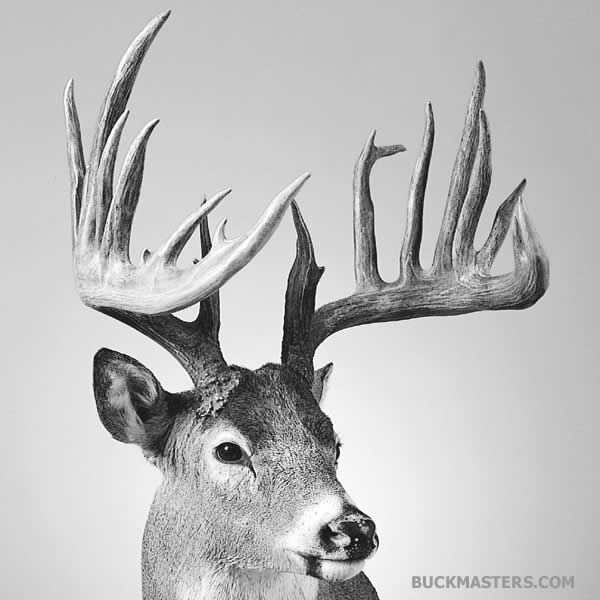 Featured photo