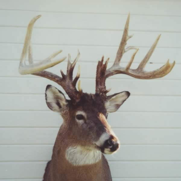 Featured photo