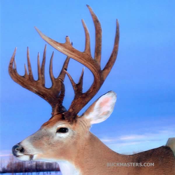 Featured photo