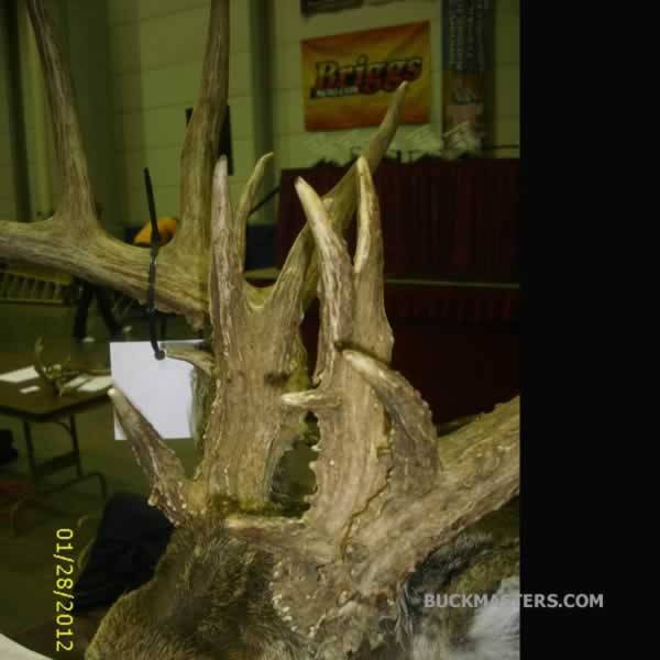 Featured photo