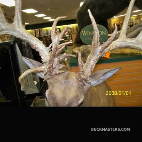 Featured photo