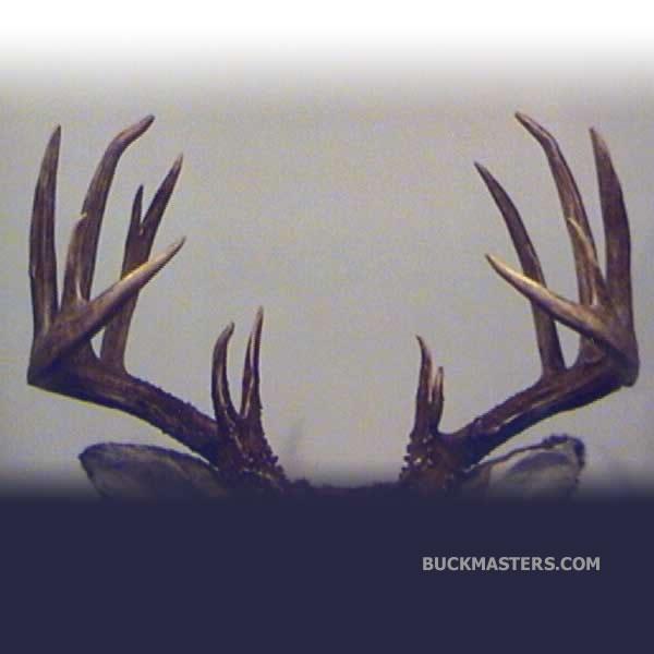 Featured photo