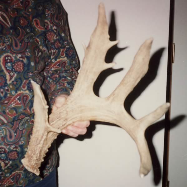 Featured photo