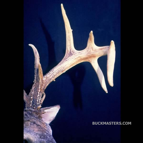 Featured photo