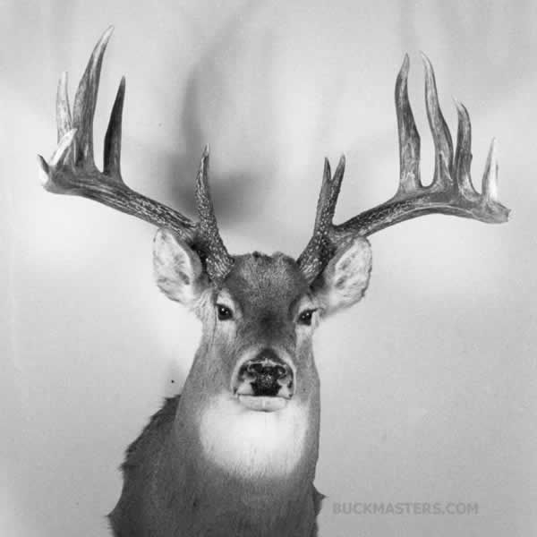 Featured photo