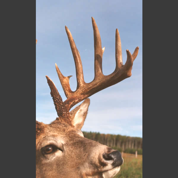 Featured photo