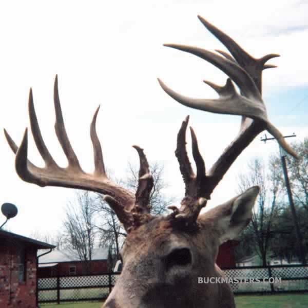 Featured photo