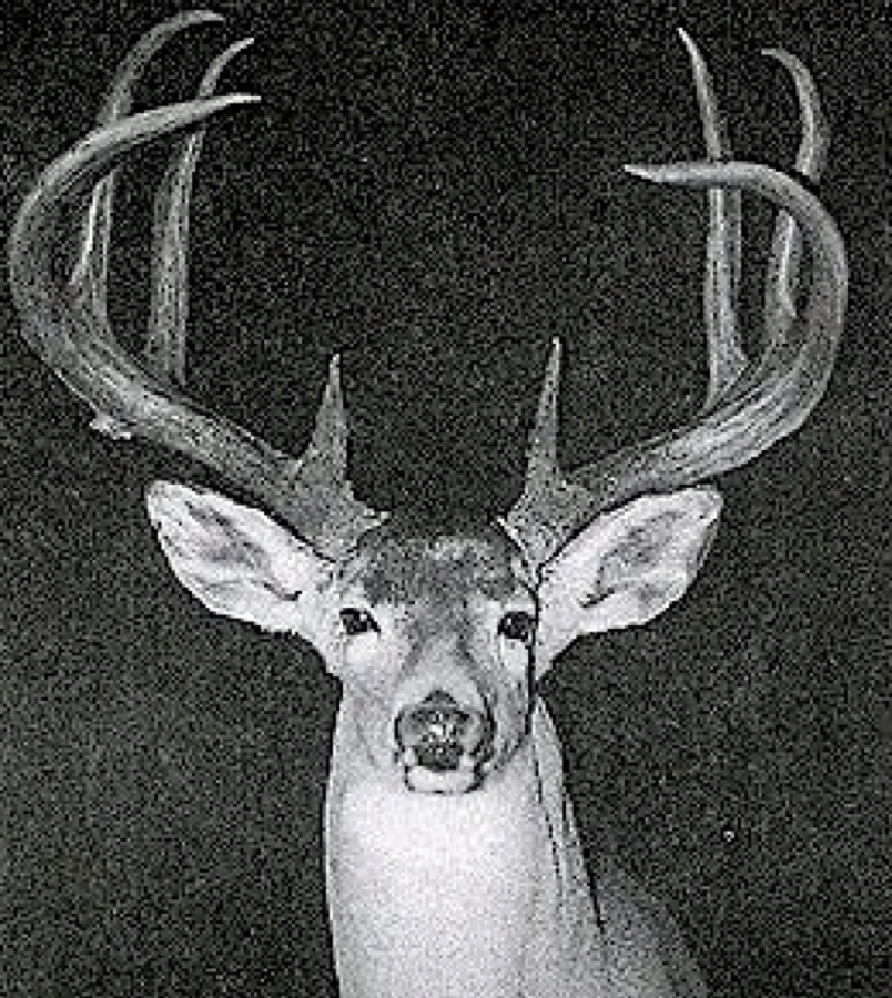 Featured photo