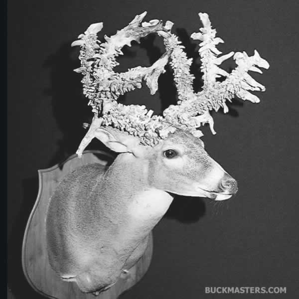 Featured photo