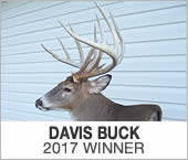 Davis Buck