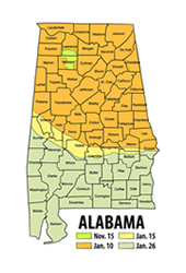 “Alabama