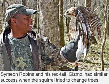 Falconry: A modern art of training hawks to hunt