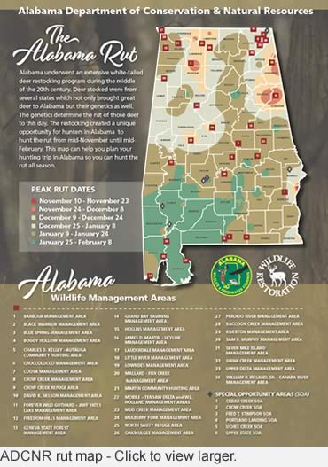 Tips for hunting Alabama’s rut