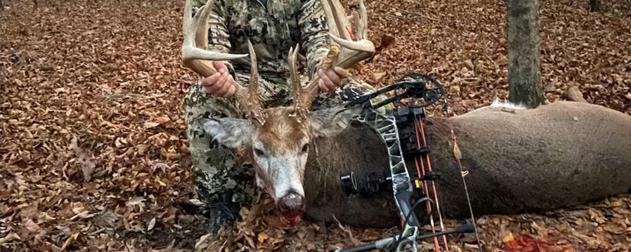 Big Buck 411