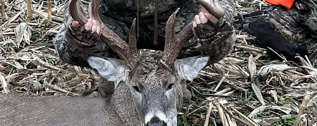 Big Buck 411