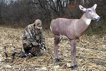 Is the Rut Overrated?