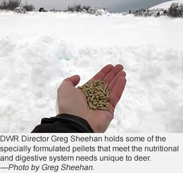 Hunters and biologists team up to feed deer in Bear Lake Valley
