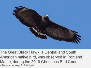 120 years of conservation history lives with the annual Christmas Bird Count