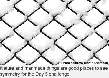 Students at home can adopt this fun, winter photo challenge
