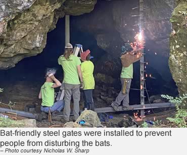 New gates protect at-risk bat habitat