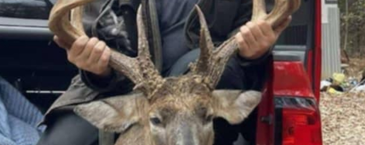 Big Buck 411