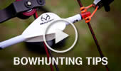 Bow Hunting Tips